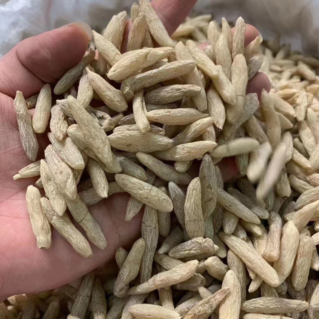 四川麦冬广州清平药材市场产地货源批发