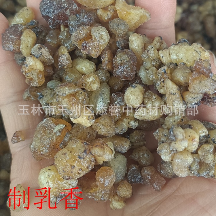 中药材制乳香 选货熏陆香 杂质少 批发零售一公斤 广西市场直销