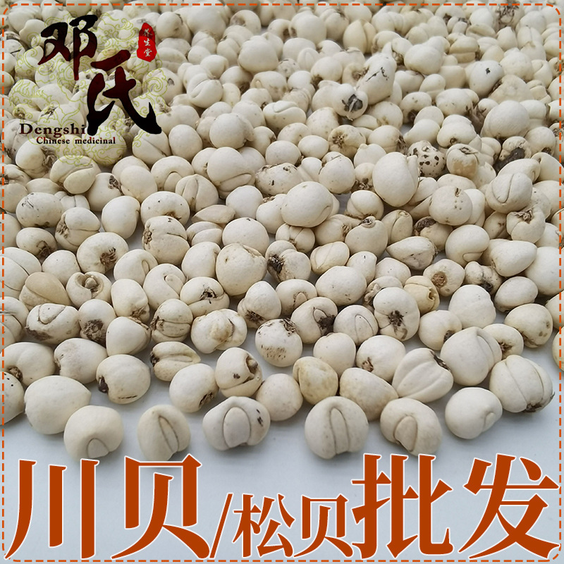 四川阿坝州川贝选货松贝珍珠贝各种齐全川贝母散装批发中药材