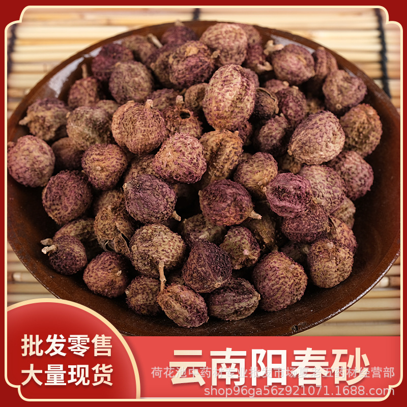 中药材批发阳春砂砂仁散装500g产地云南颗粒饱满可泡水阳春砂