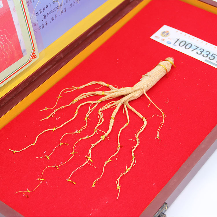 批发山参吉林长白山林下参 东北人参产地直供 泡酒煲汤会销礼品