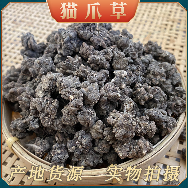 猫爪草中药材批发 河南产地货源现货猫爪草 量大价优 新货猫抓草