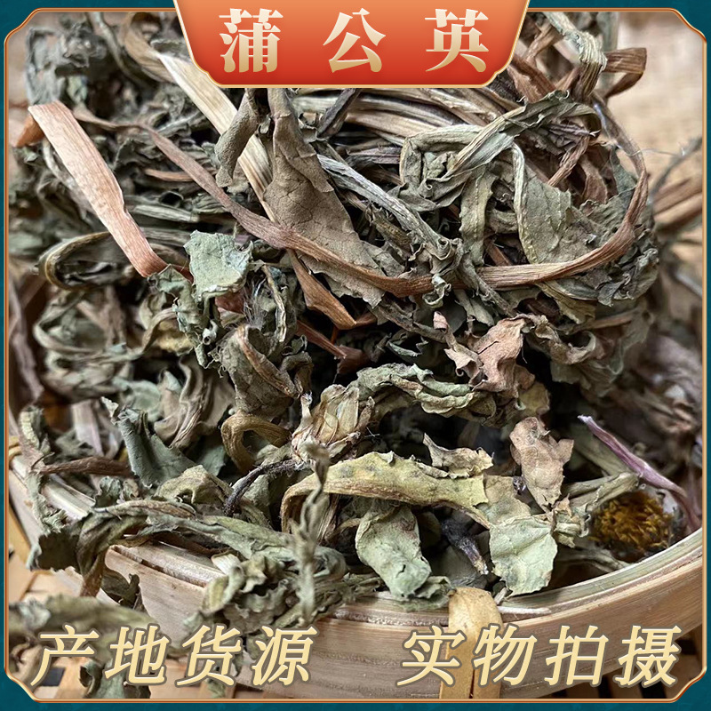 中药材批发蒲公英统货个子 四川产地货源 干净少杂质新货蒲公英根