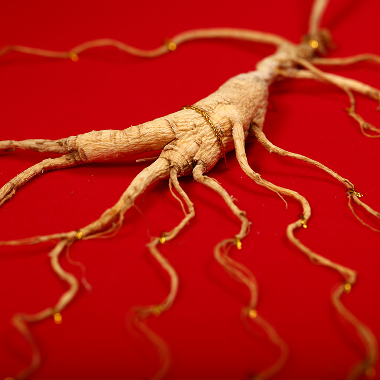 60寸人参礼盒 长白山人参 山参礼盒 会销礼品人参礼盒装