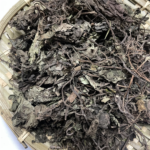 细辛四川产地货源 中药材批发 规格齐全 量大价优