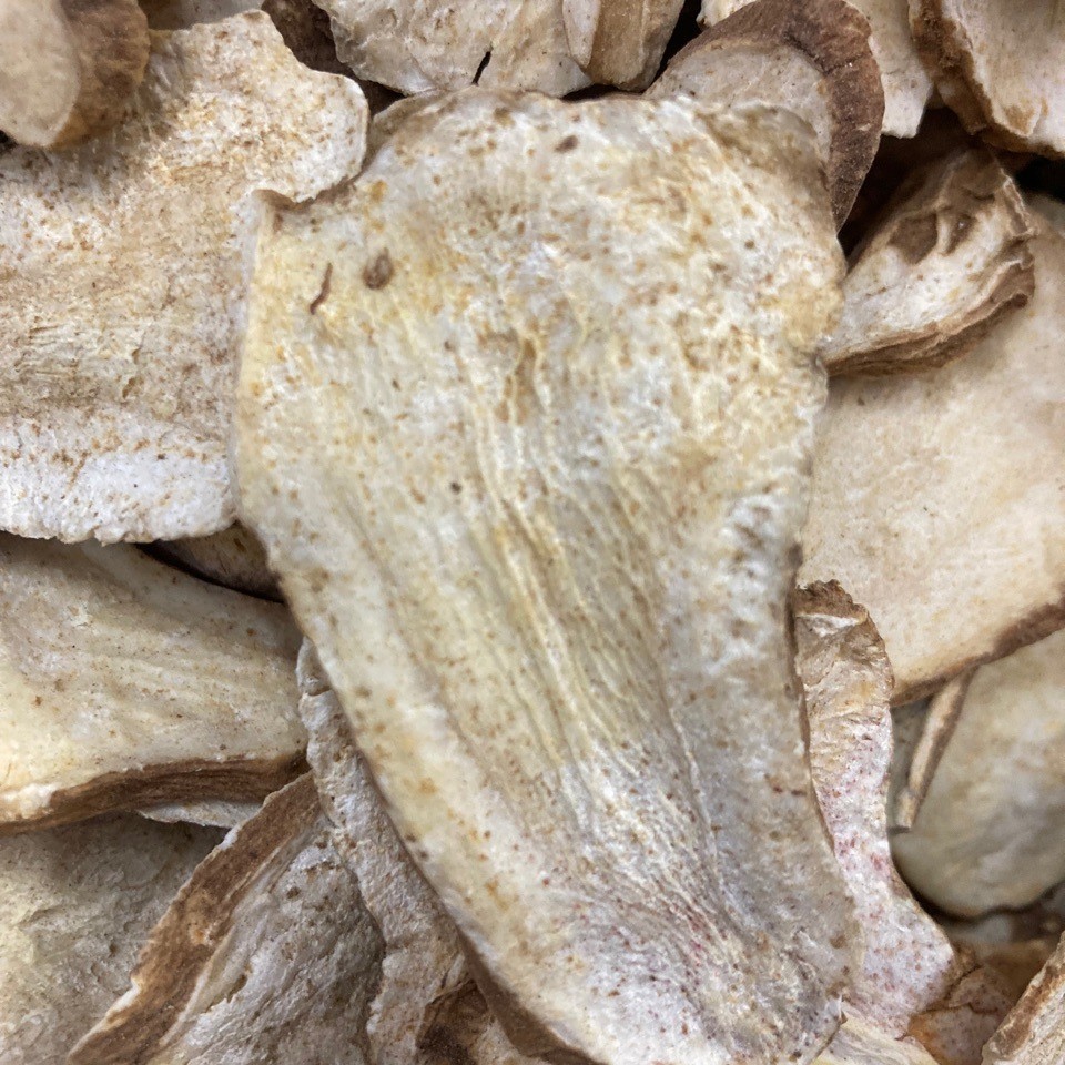 生切白术中药材无孔白术鲜切白术祁白术产地货源500克包邮新鲜切
