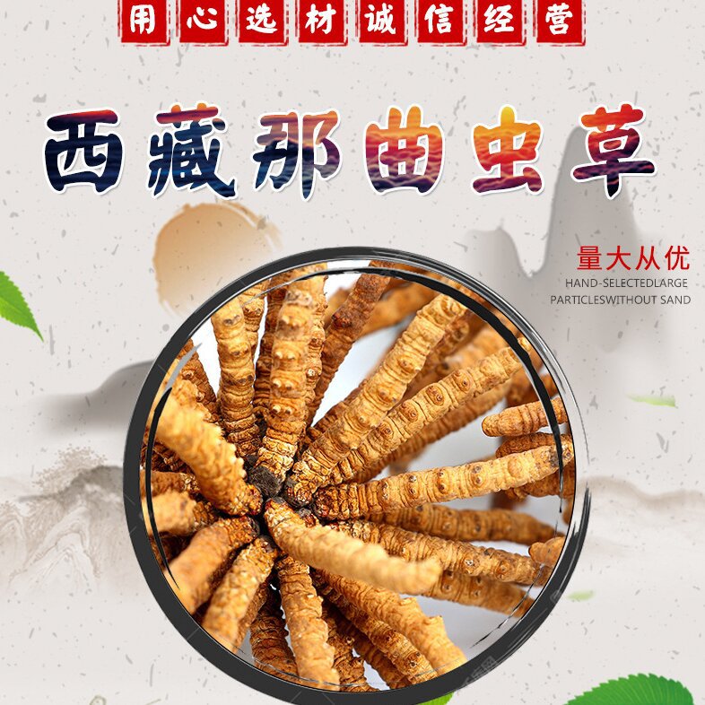 中药材批发冬虫夏草 西藏那曲虫草 精选无断条   断虫草肉节