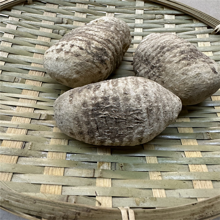 泽泻四川产地货源 泽泻个 泽泻片 中药材批发 规格齐全 量大价优