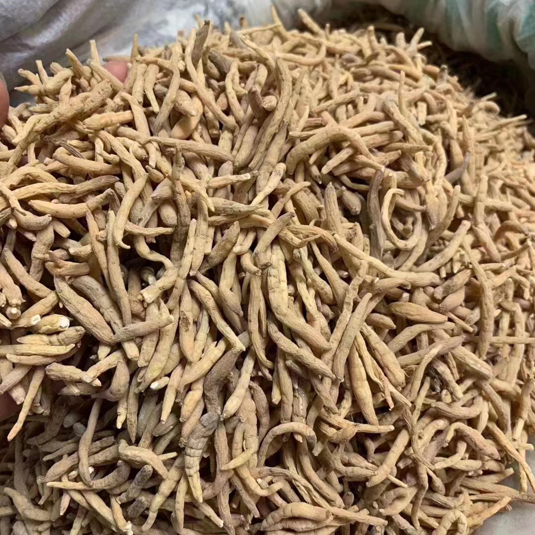 太子参新货批发 贵州散装太子参500克 孩儿参药材市场一手货源