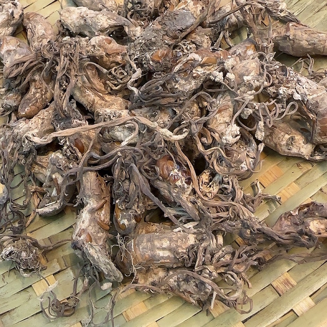 蝉花四川产地货源 蝉花个 中药材批发 规格齐全 量大价优