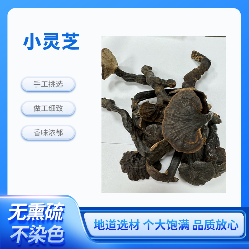 小灵芝野外批发整枝林芝赤芝粉切片紫黑灵芝朵泡酒灵芝批发