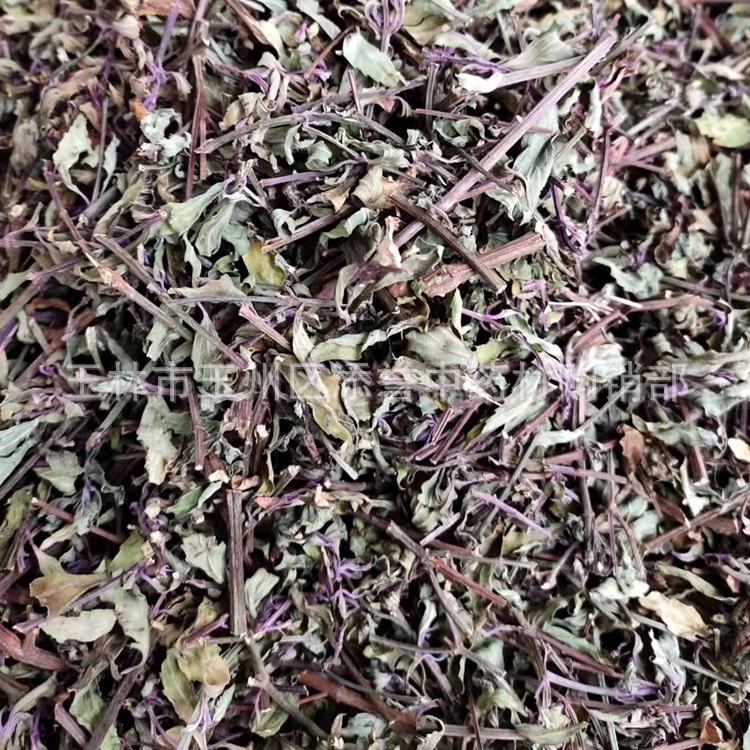 中药材市场直销 猫须草 肾茶 猫须公 云南地产批发 晒干新货 切段