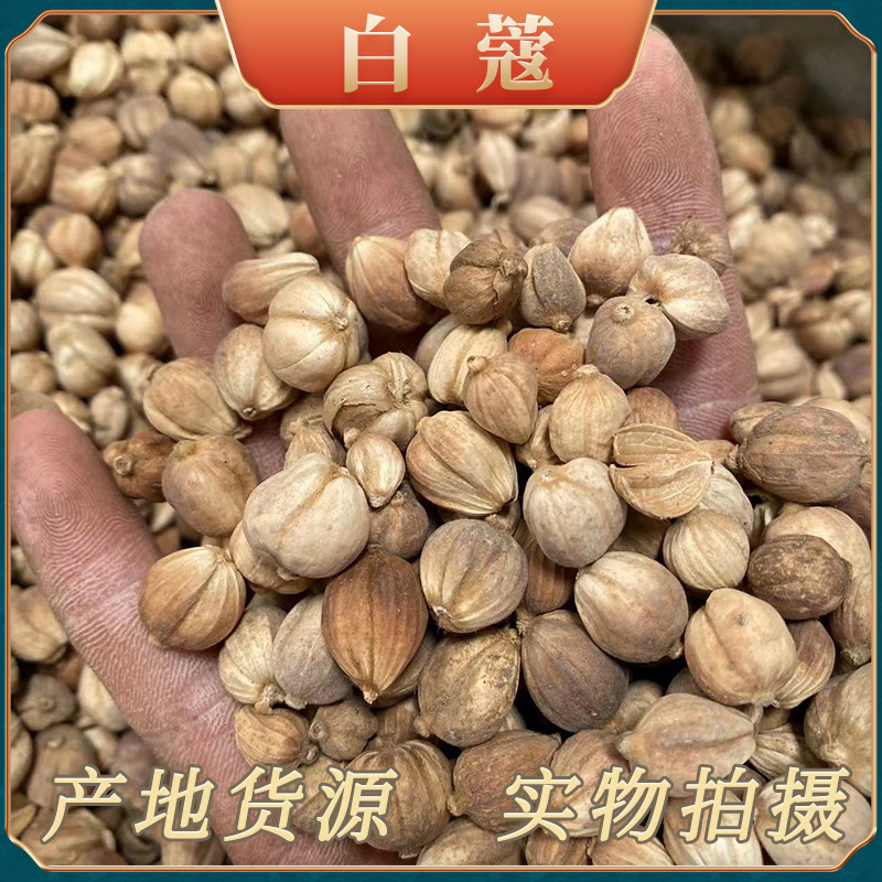 批发中药材白豆蔻 白叩 香料白蔻调料干货商用白蔻仁500g可打粉