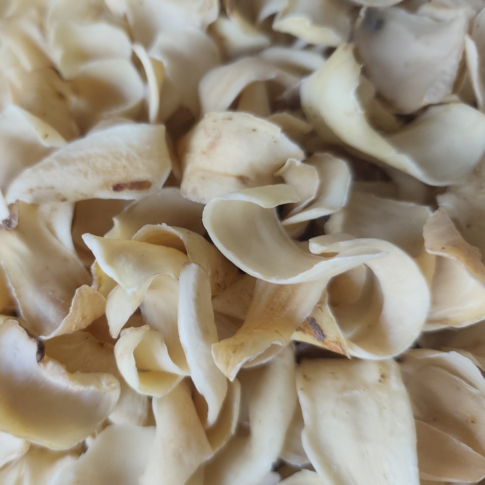 批发中药材湖南龙牙百合大片兰州甜百合药食同源天然无硫精选现货