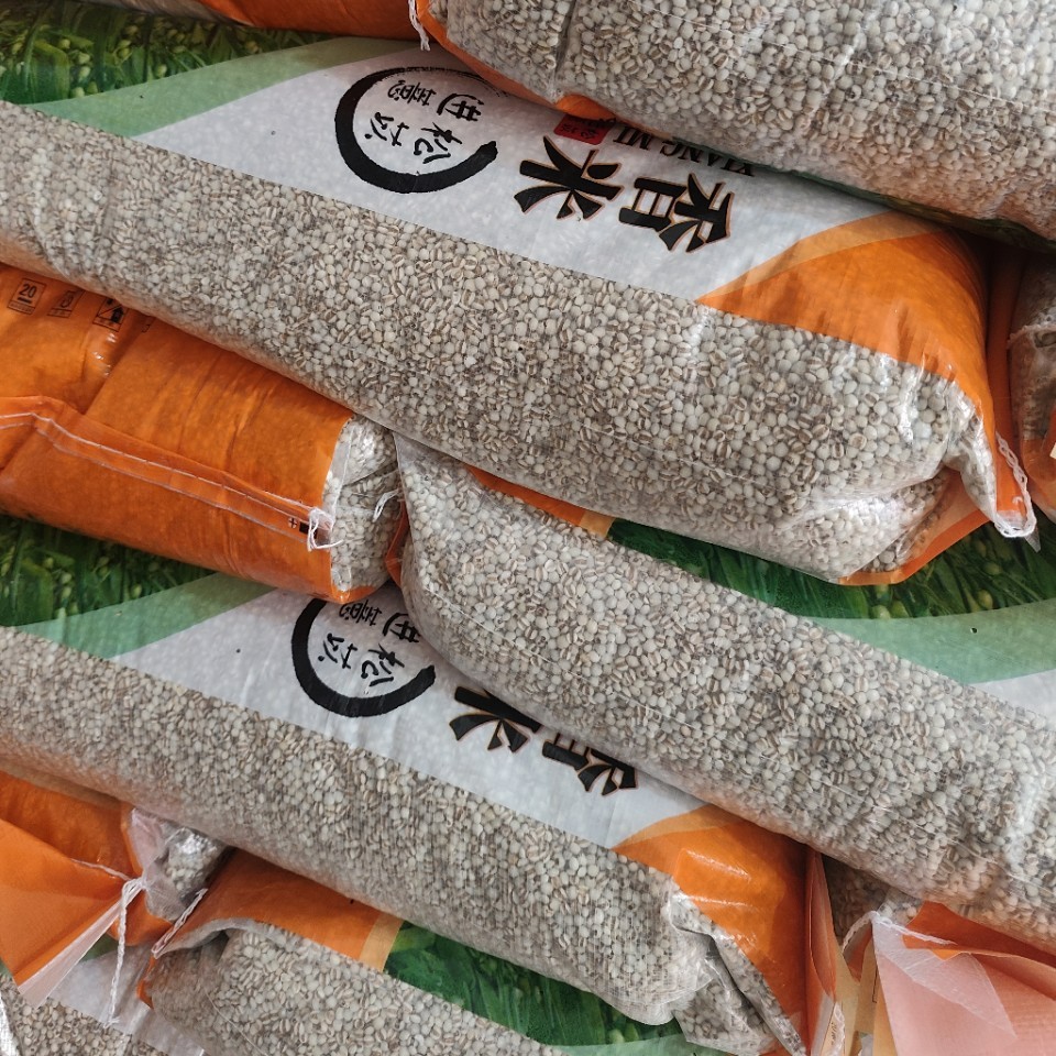 大量现货98米薏苡仁500g大颗粒贵州产地散装中药材 低价供应