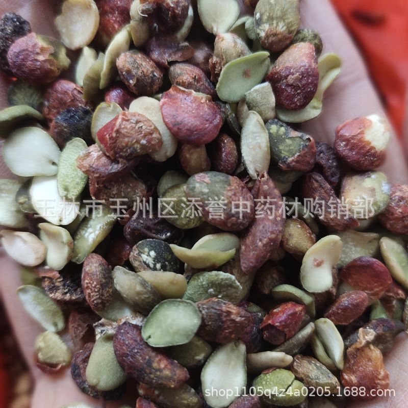 黄皮核 广西黄皮果核 黄弹子核 中药材批发市场直销货源 一公斤件