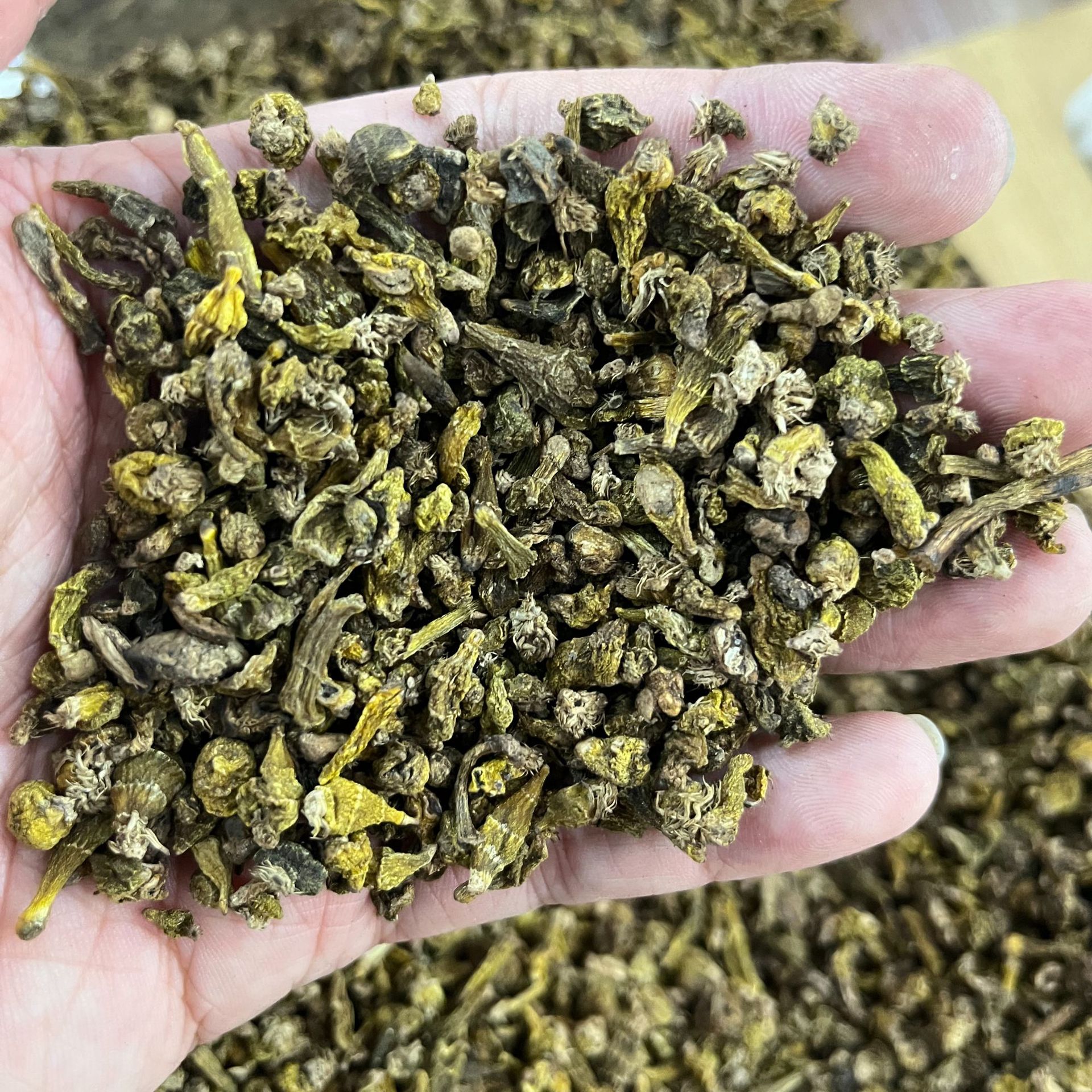 批发 精选红蛛虫石斛 药香石斛传统滋补干货煲汤泡水送礼一件代发