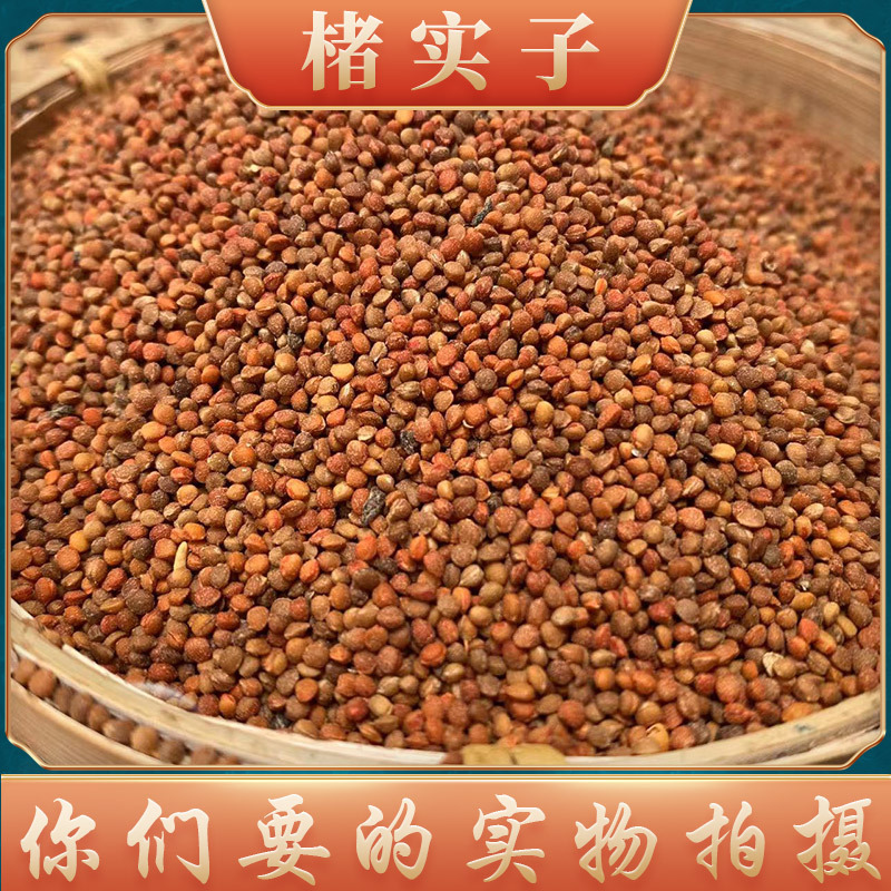 楮实子中药材批发 四川产地货源500g新货杂质少 量大价优楮实子