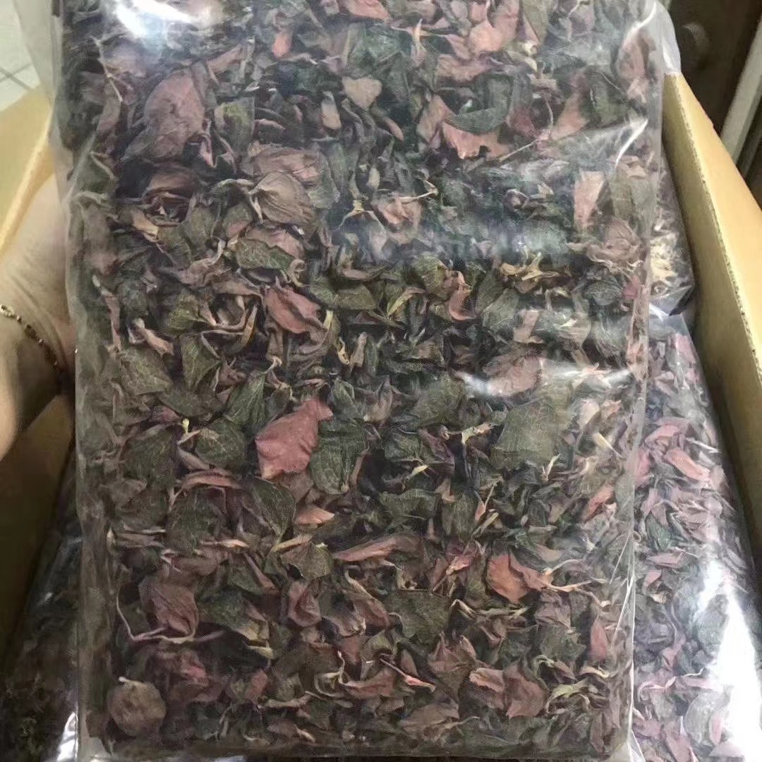 福建金线莲整株红霞干品 产地货源直供药材批发市场