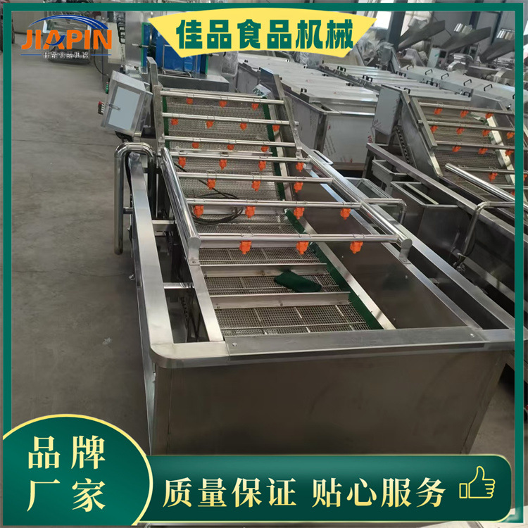 酸枣仁，药果人参果鼓泡清洗机，全自动药材叶类清洗不锈钢设备