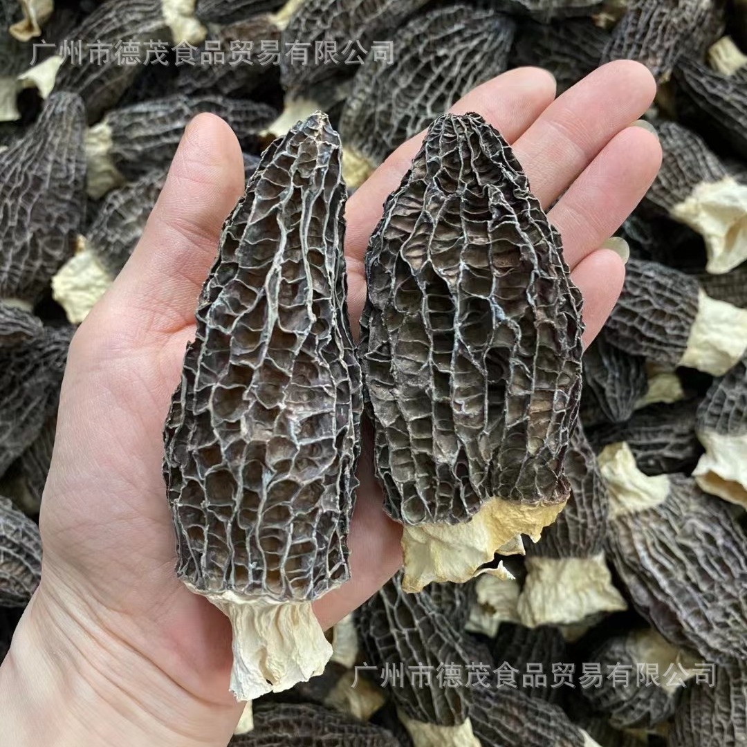 8-10公分超大靓货羊肚菌煲汤食材干货广州清平中药材市场大货批发