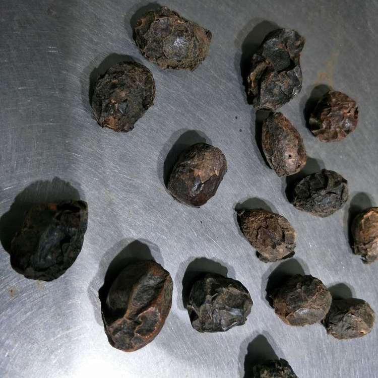 厂家供应批发代发现货广枣中药材