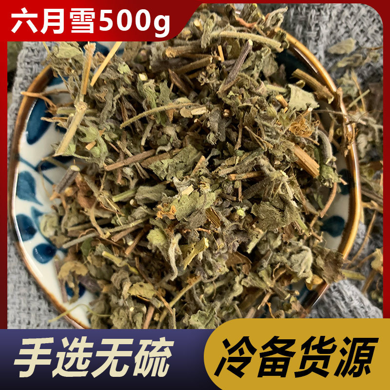 六月雪中药材野生正品新货白马骨路边金满天星500g克新鲜晒干