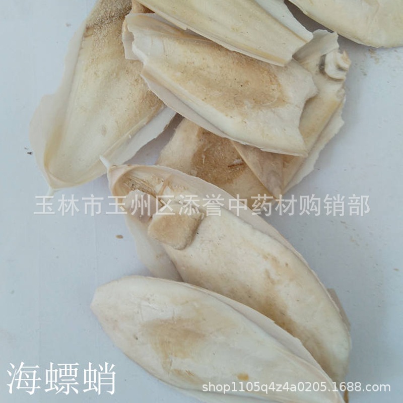 中药材海螵蛸 乌贼骨 乌鲗骨 乌贼鱼骨 墨鱼骨 天然晒干 市场批发