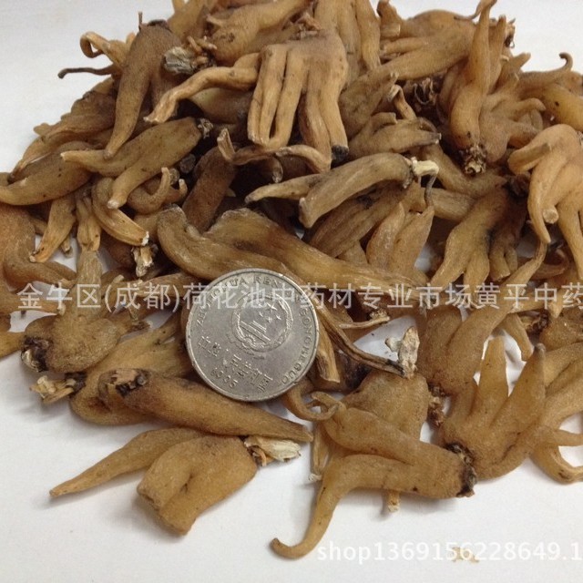 四叶草中药材批发 西藏手掌渗 佛手参 手掌参