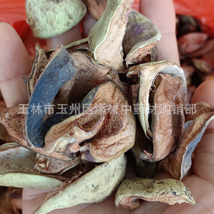 中药材市场批发 王不留行壳 剪金花 麦蓝子壳 干货