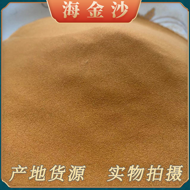 中药材批发 海金沙500g产地货源四川量大从优实物拍摄海金沙