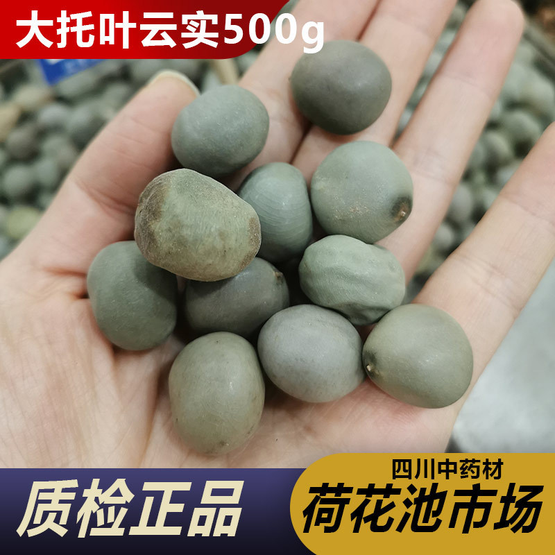 大托叶云实500g藏药中药材天然纯新货云实子陨石子马豆朝天子