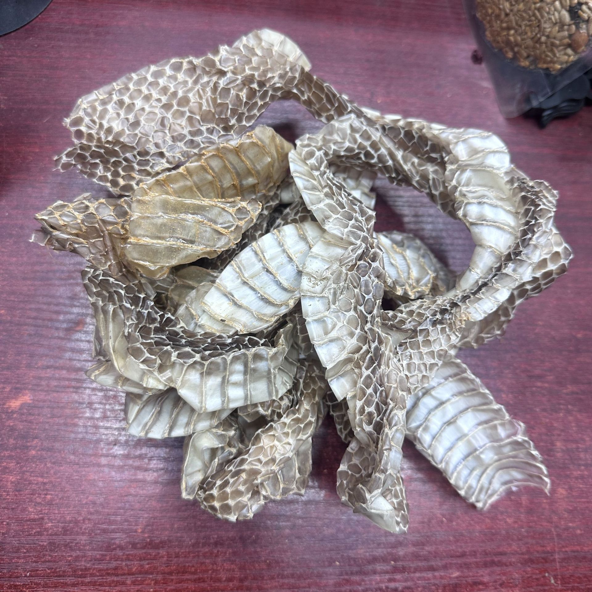 蛇蜕 龙衣 龙衣蛇皮鄄城振兴中药材批发