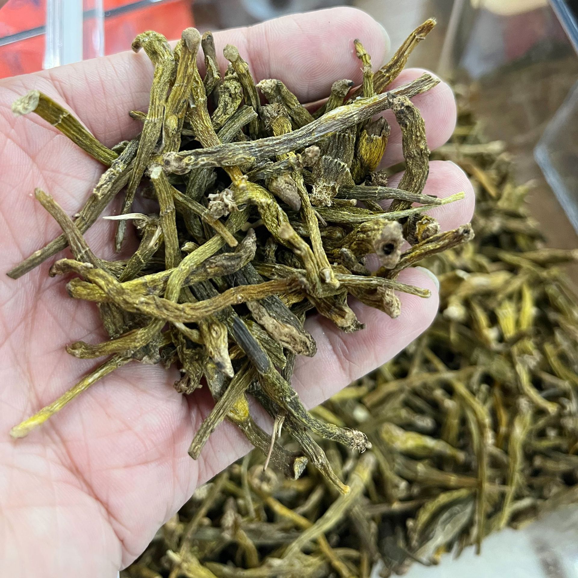 一手货源批发 珍虫石斛短肉芽 石斛 云南特产供货实体店全国代发