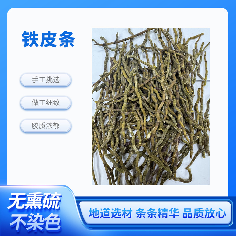 铁皮条自然生长新鲜无施肥胶质浓郁原产地珍虫石斛批发