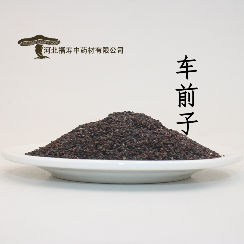 福寿中药材 批发车前子 规格齐全 安国药材市场 诚邀合作