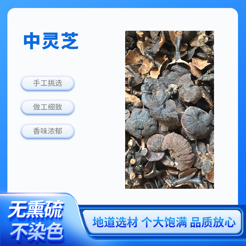厂家直营 中灵芝干货 整枝灵芝整朵林芝泡酒茶煲汤可切片药材批发