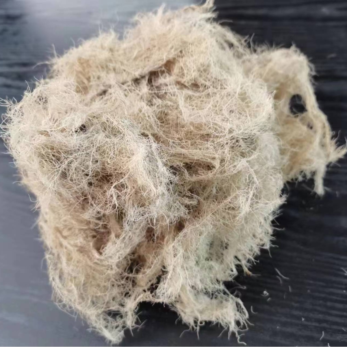 批发现货 松椤 马蹄香 土细辛 心叶缬草 养心莲中药材大全 包邮