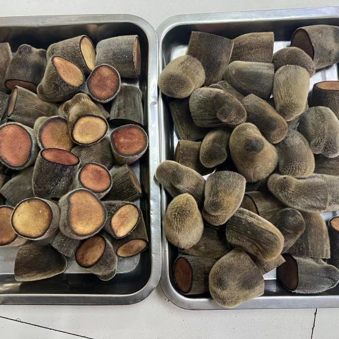 鹿茸整根批发 泡酒药材 鹿茸片 花鹿咀头 吉林特产鹿角全国代发