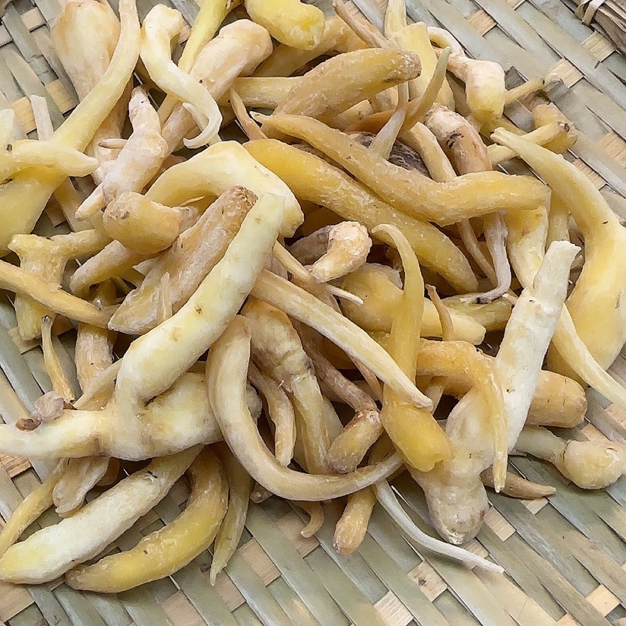 峨参云南产地货源  中药材批发 规格齐全 量大价优