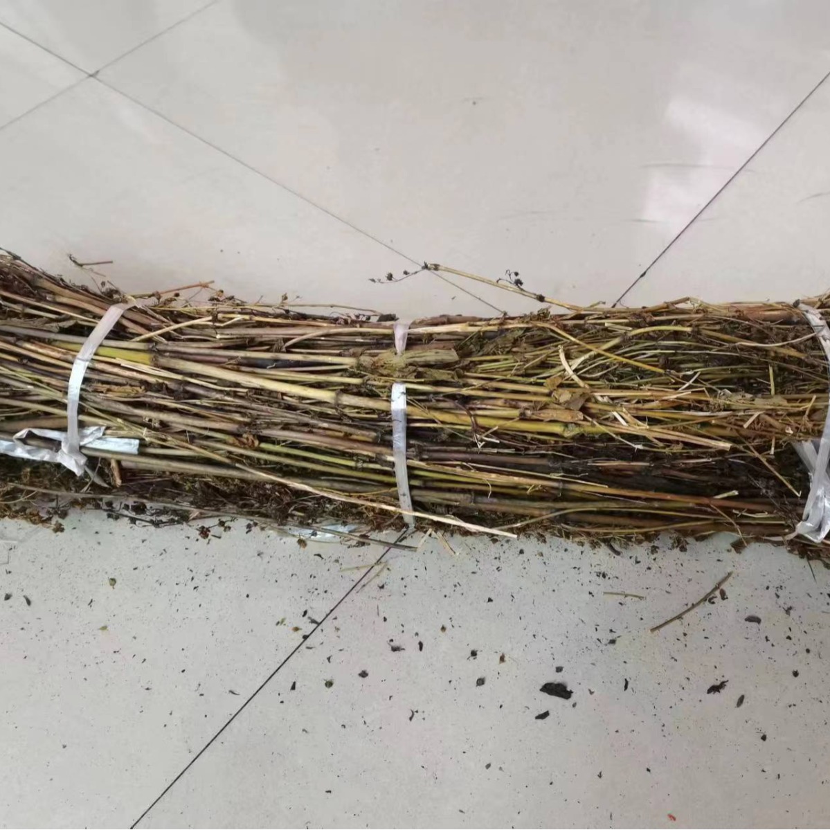 藏茵陈 全茵陈 藏茵陈个500g散装 可切 西藏特产冷背中药材批发