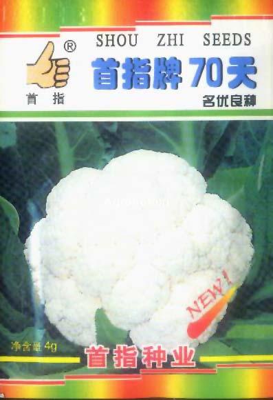 大米