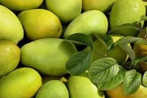 AA级绿色食品大米