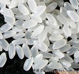 供应东北大米