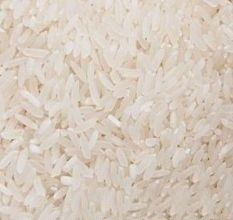 供应粒粒香大米