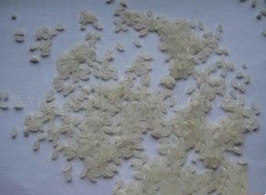 供应2026年新大米