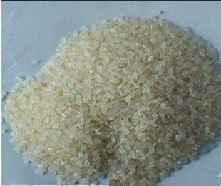 供应北显散营养大米*500g