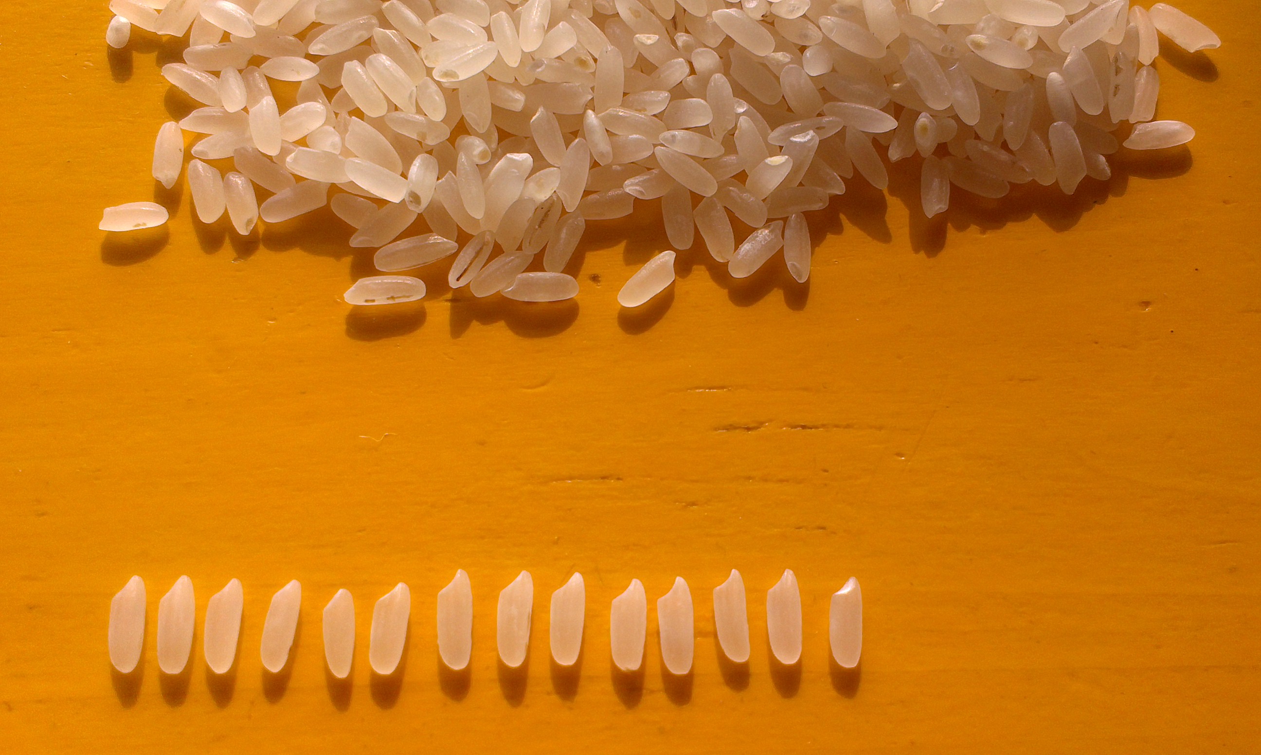 求购五稻赋大米