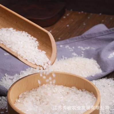 宝宝米苏北大米江苏大米大米 宝宝儿童辅食营养粥新米