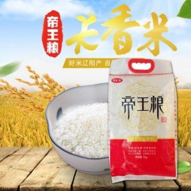 厂家东北大米长香米 长粒香米大米熬粥蒸饭多规格大米批发